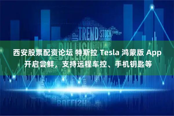 西安股票配资论坛 特斯拉 Tesla 鸿蒙版 App 开启尝鲜，支持远程车控、手机钥匙等